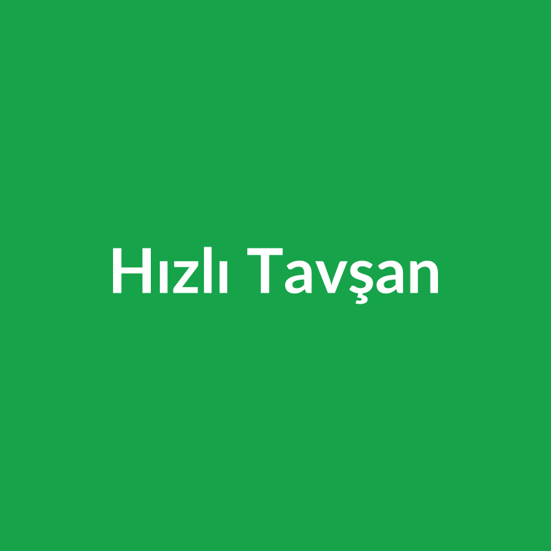Hızlı Tavşan