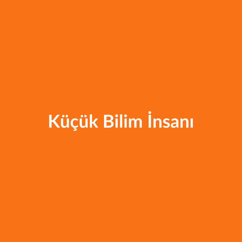 Küçük Bilim İnsanı