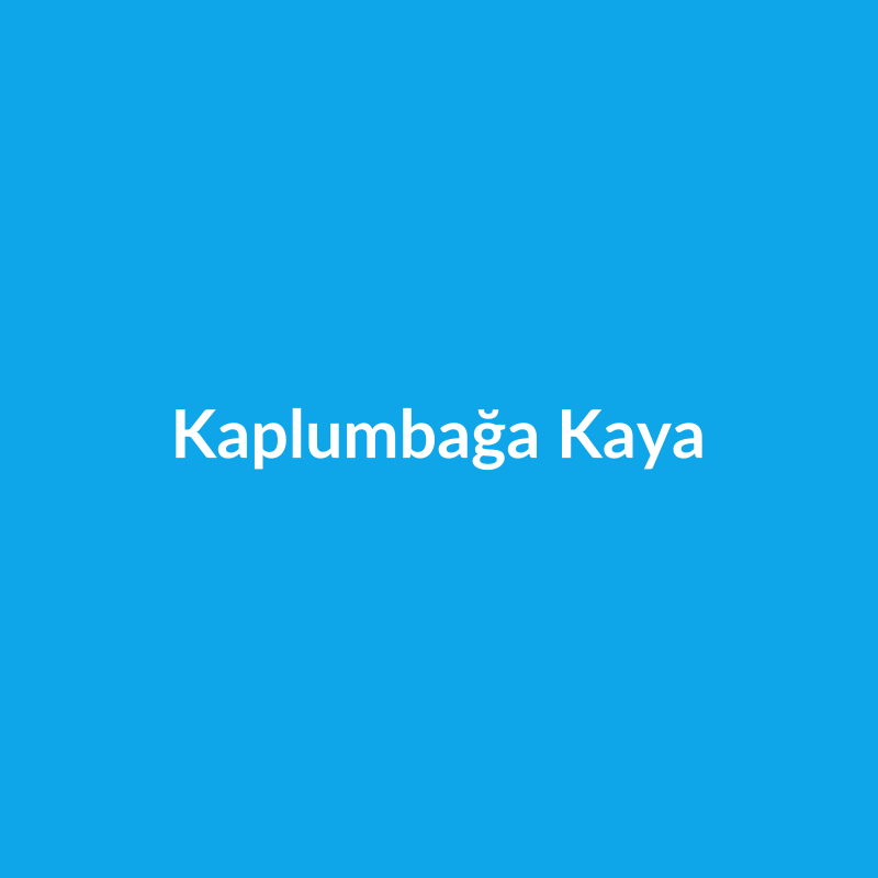Kaplumbağa Kaya