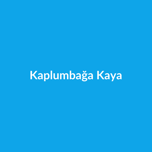 Kaplumbağa Kaya
