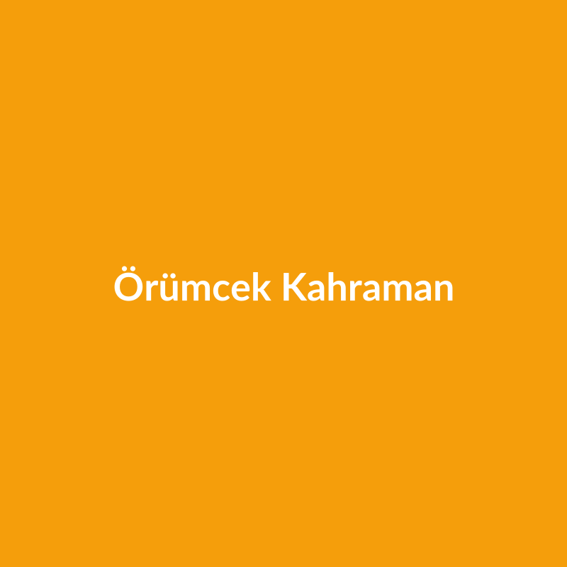 Örümcek Kahraman