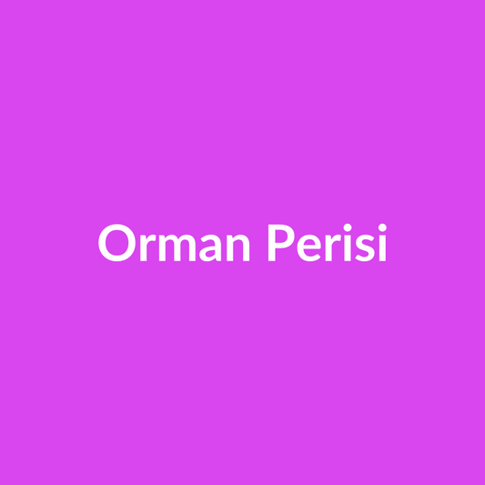 Orman Perisi