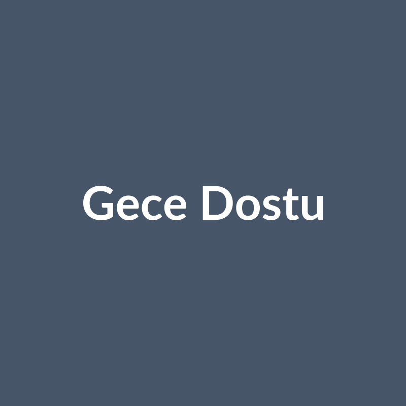 Gece Dostu