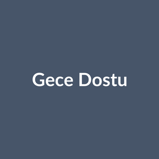Gece Dostu