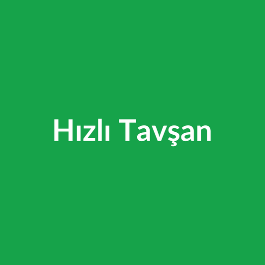 Hızlı Tavşan