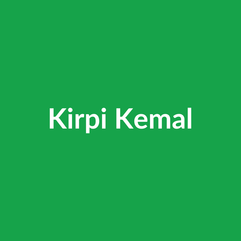 Kirpi Kemal