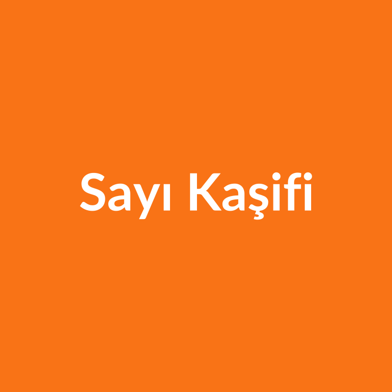Sayı Kaşifi