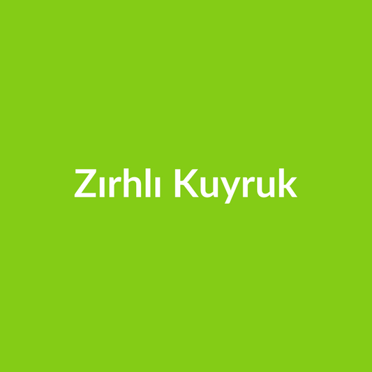 Zırhlı Kuyruk