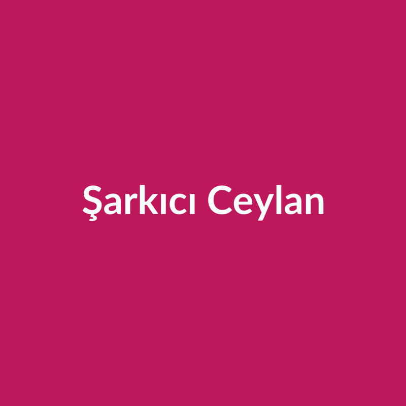 Şarkıcı Ceylan
