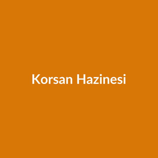 Korsan Hazinesi