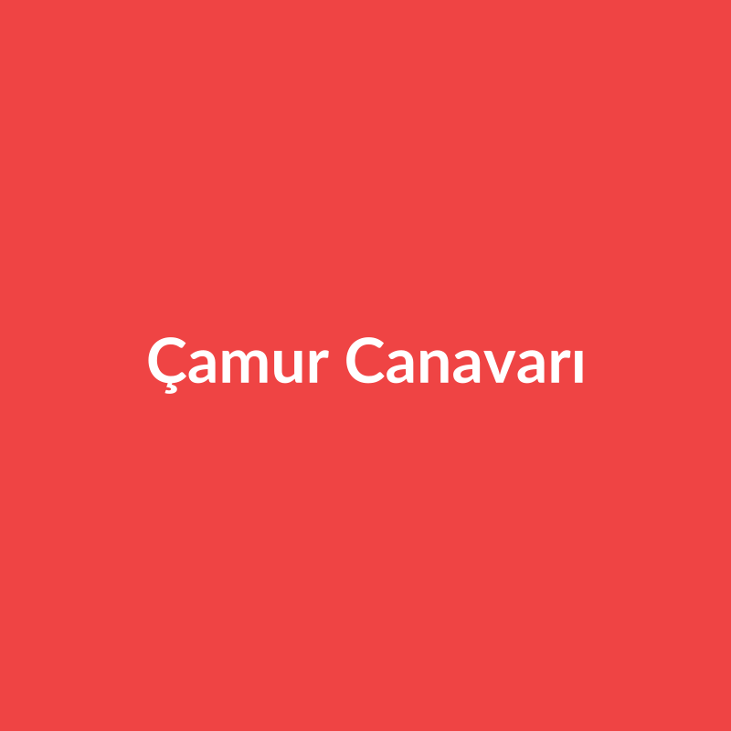 Çamur Canavarı