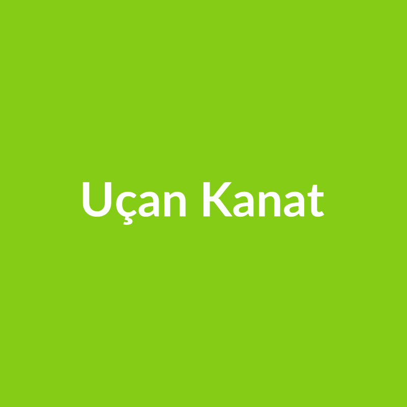 Uçan Kanat