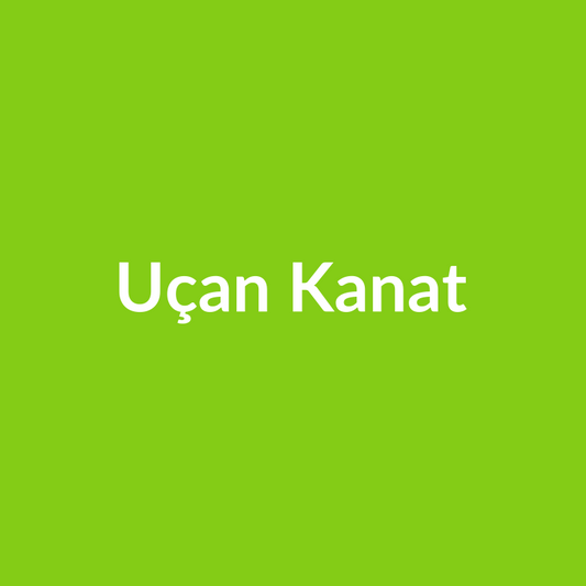 Uçan Kanat