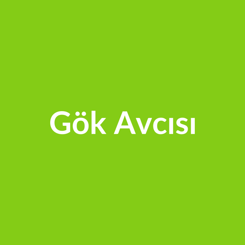 Gök Avcısı