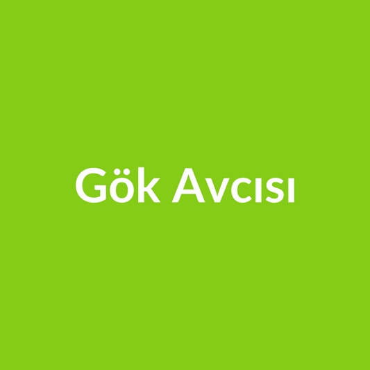 Gök Avcısı