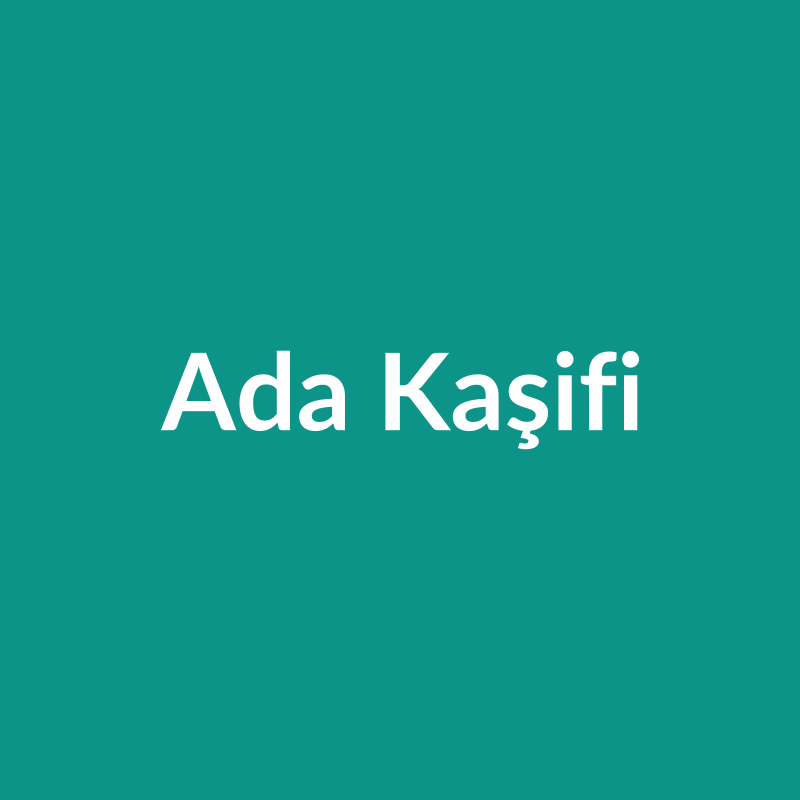 Ada Kaşifi