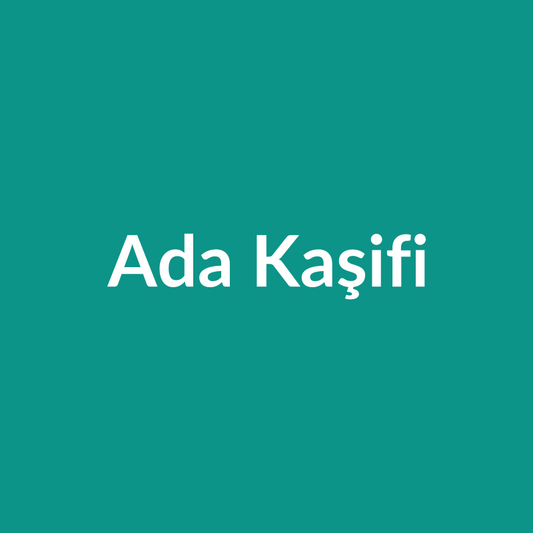 Ada Kaşifi
