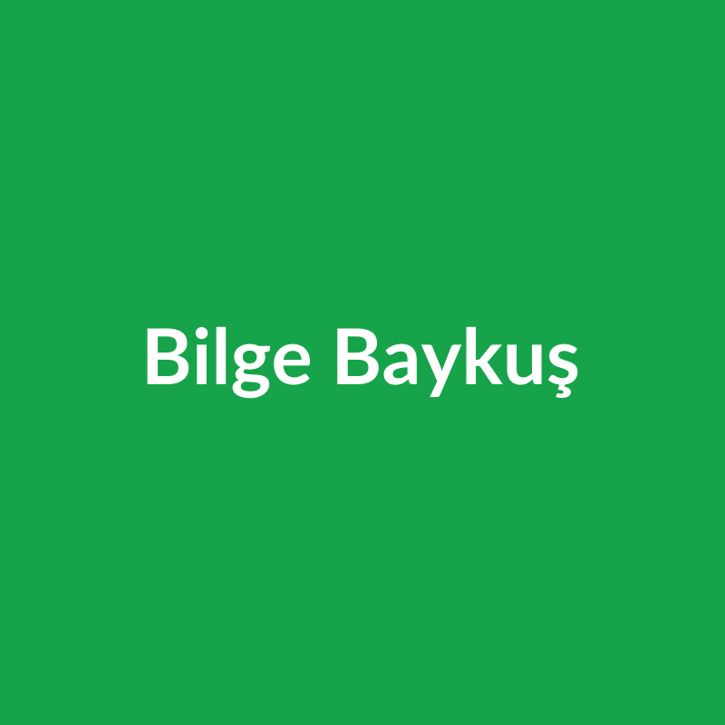 Bilge Baykuş
