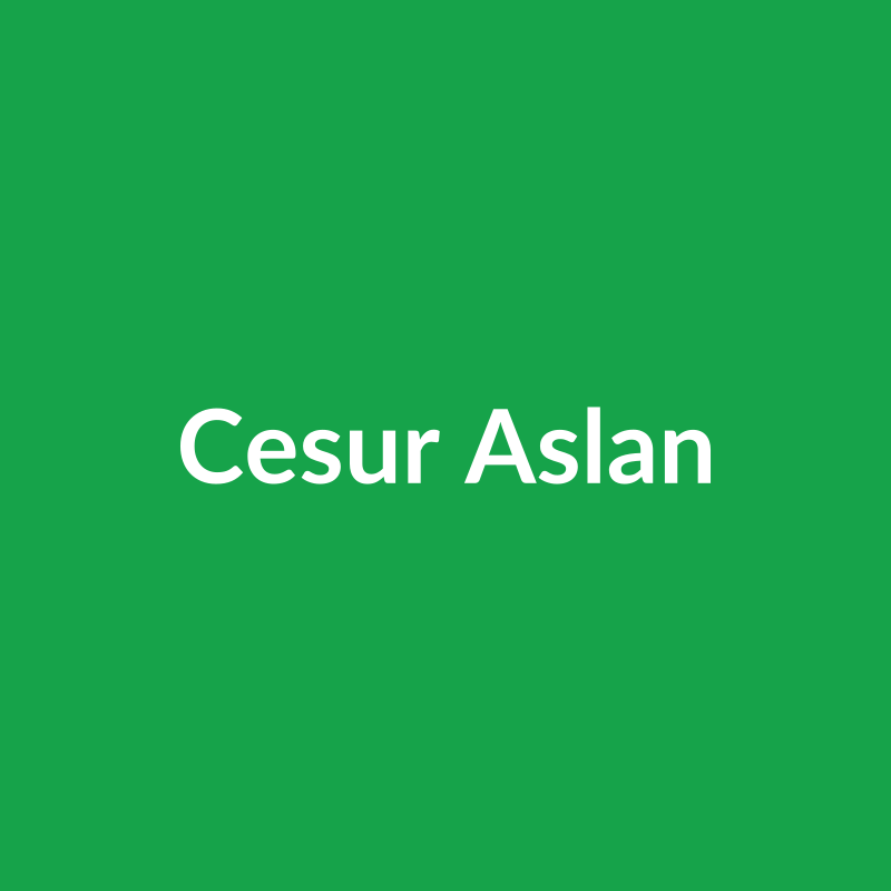 Cesur Aslan