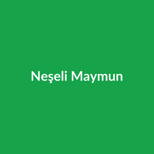 Neşeli Maymun