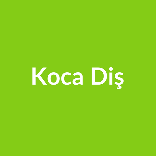 Koca Diş