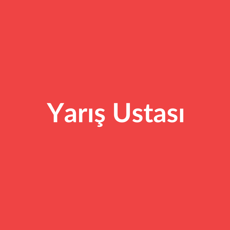 Yarış Ustası