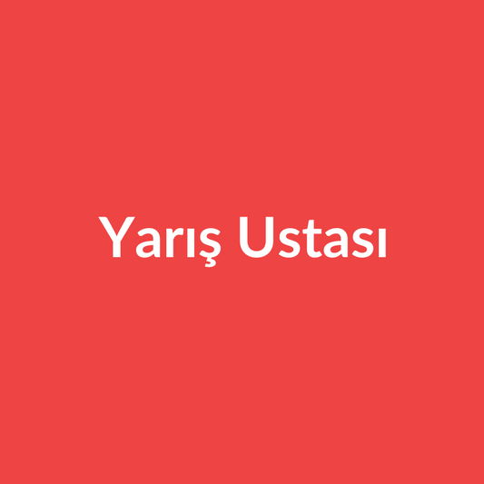 Yarış Ustası
