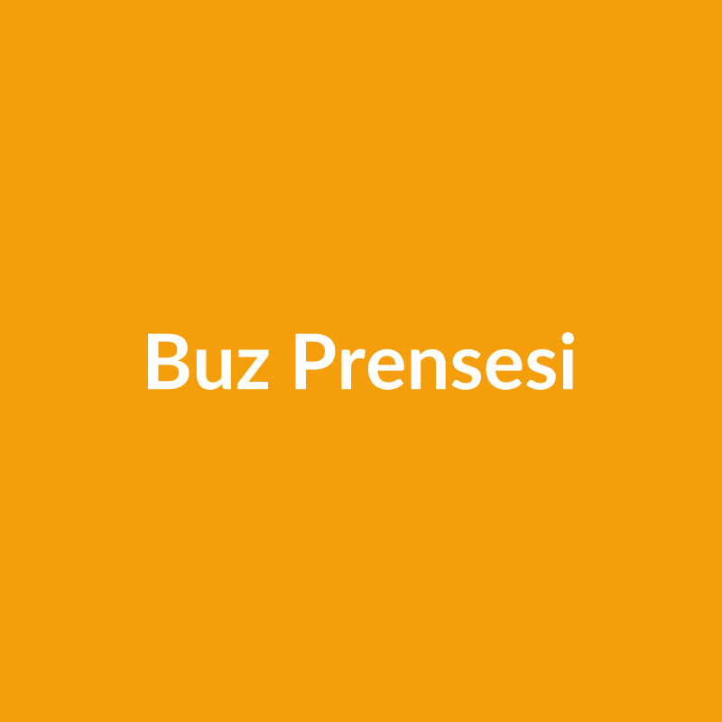 Buz Prensesi