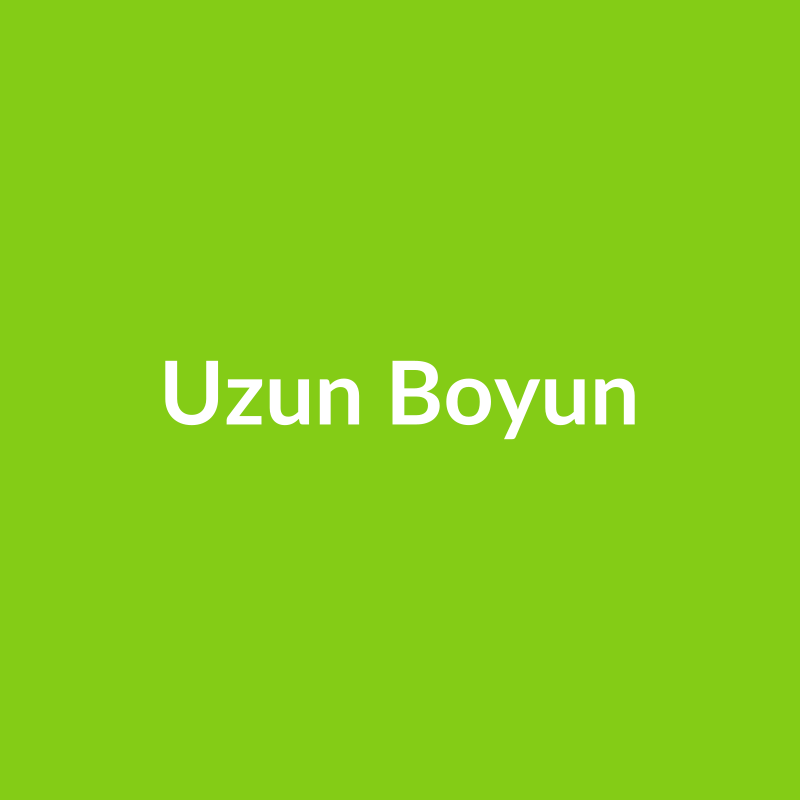 Uzun Boyun