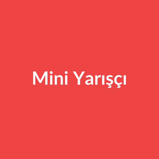 Mini Yarışçı