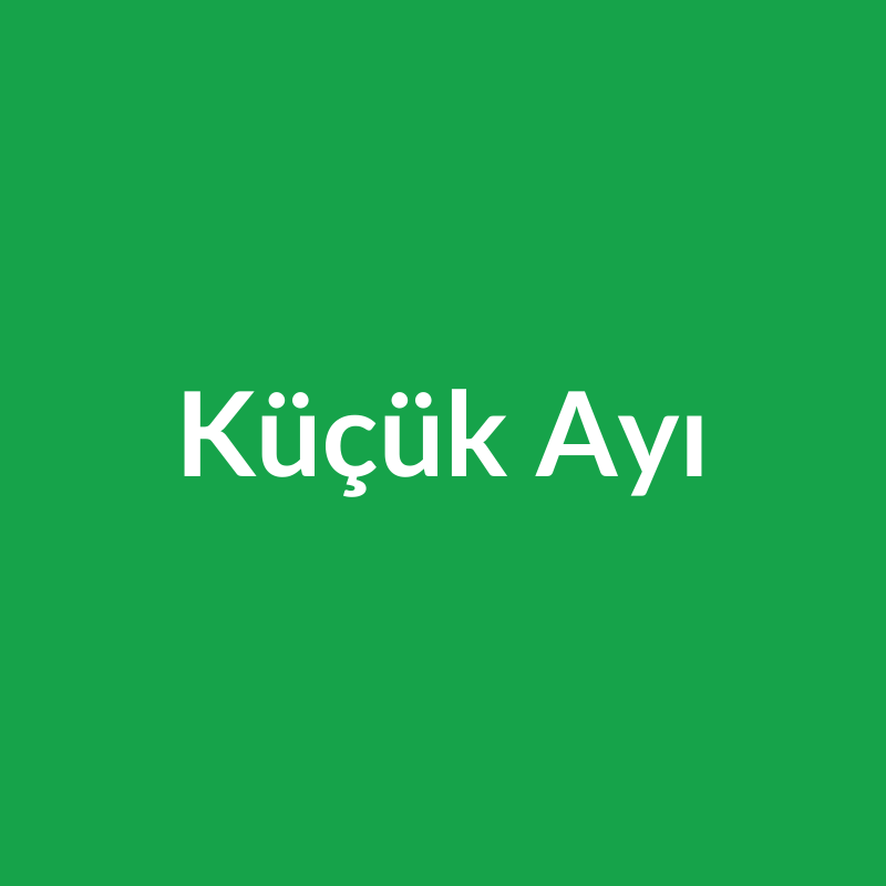 Küçük Ayı
