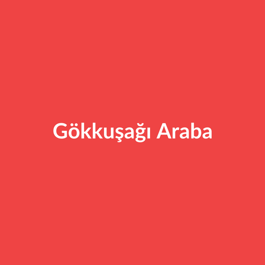 Gökkuşağı Araba